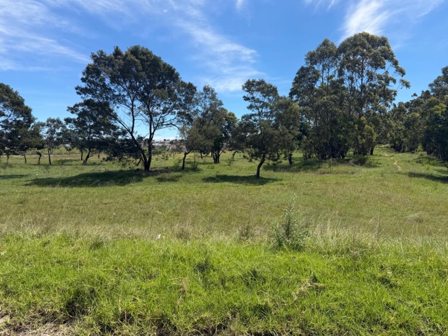 0 Bedroom Property for Sale in Butterworth Eastern Cape